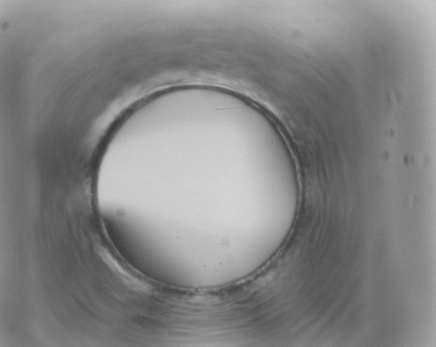 X0000070401503200606301958