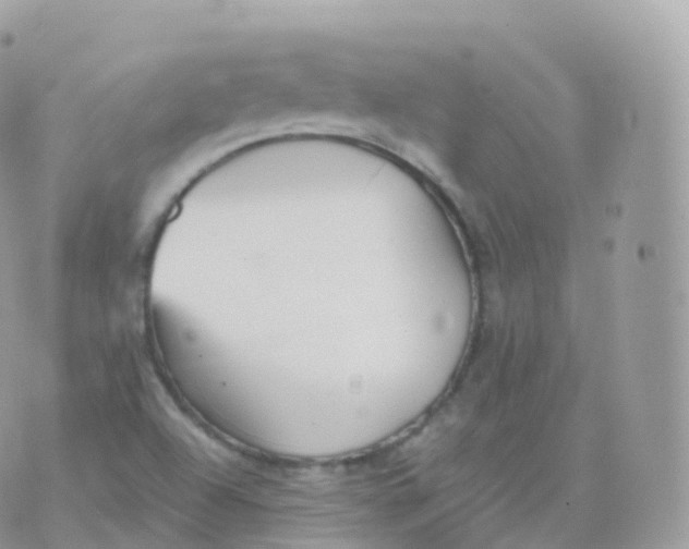 X0000070401504200606301958