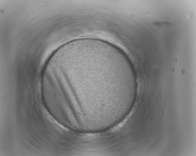 X0000070401506200606301958