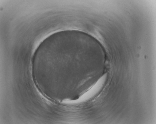 X0000070401508200606301958