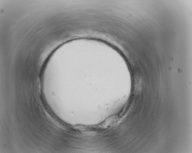 X0000070401509200606301958