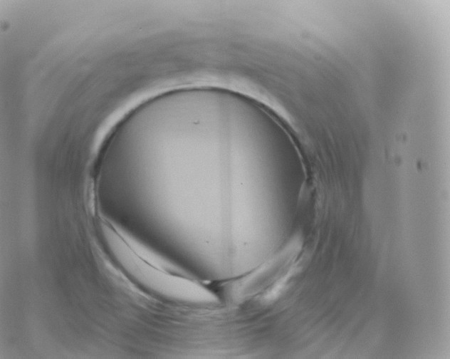 X0000070401510200606301958