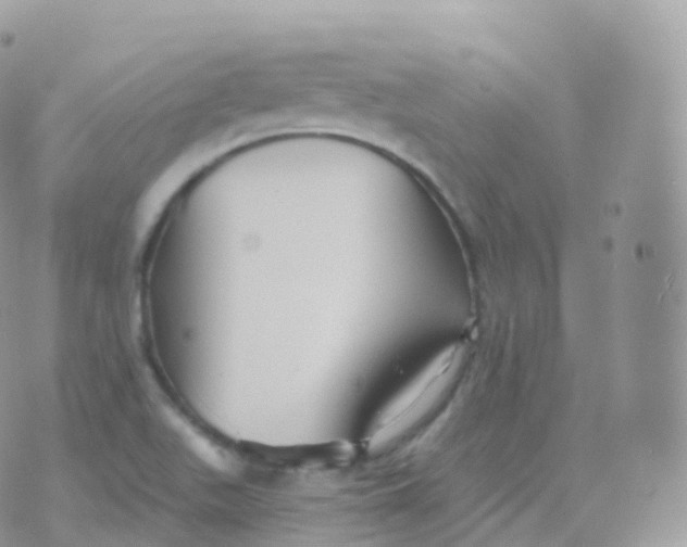 X0000070401511200606301958