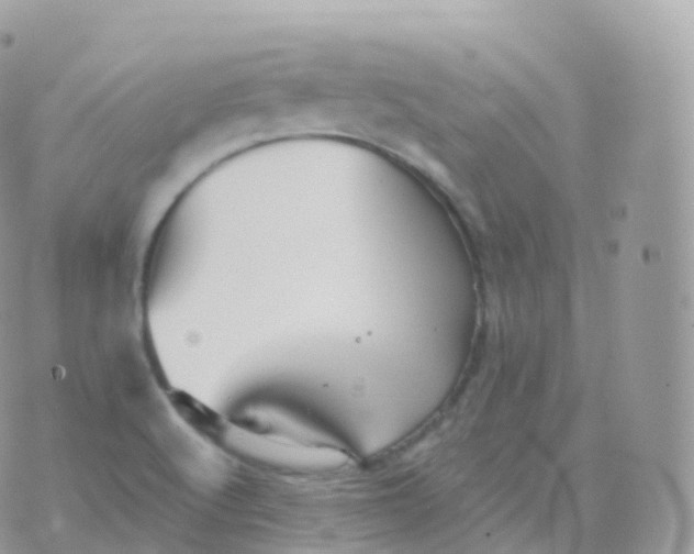 X0000070401512200606301958