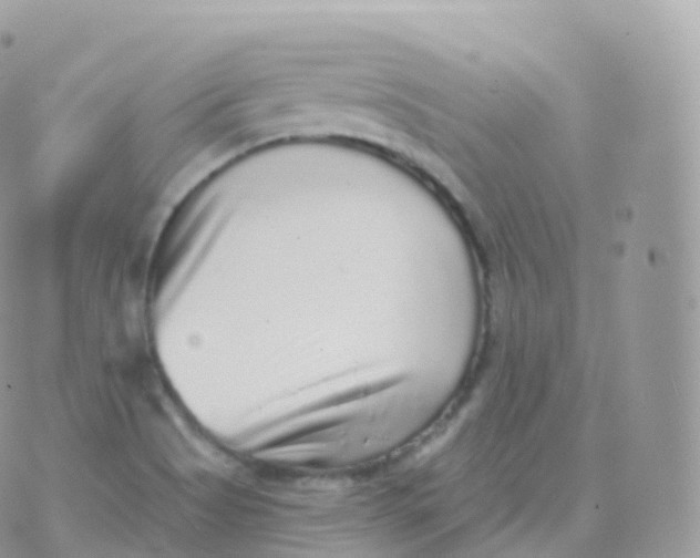 X0000070401513200606301958