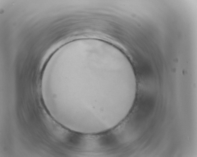 X0000070401514200606301958