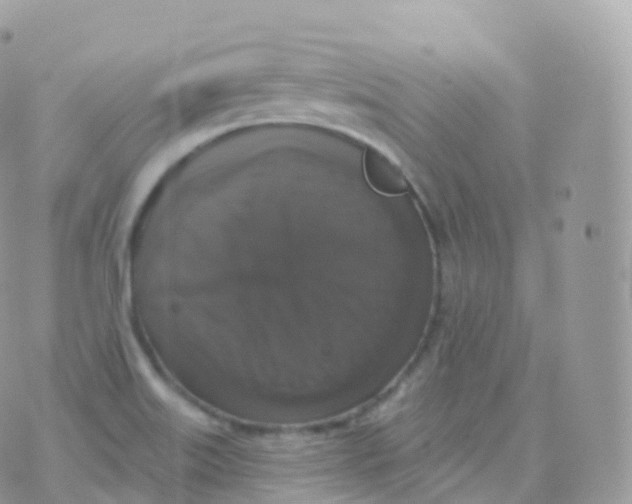 X0000070401515200606301958