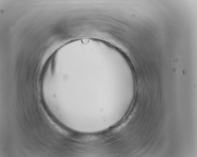 X0000070401517200606301958