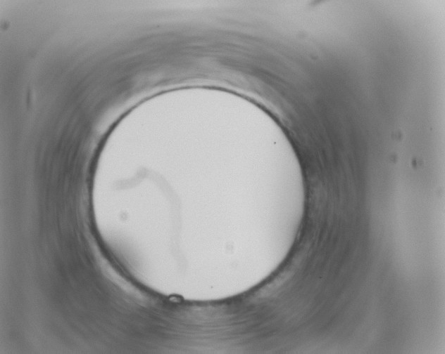 X0000070401518200606301958