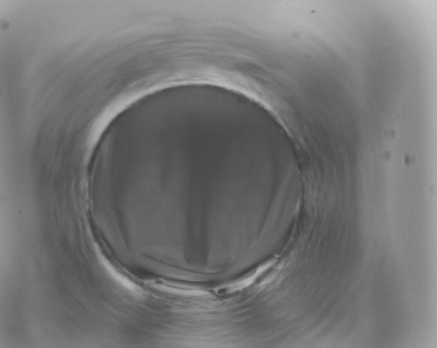 X0000070401519200606301958