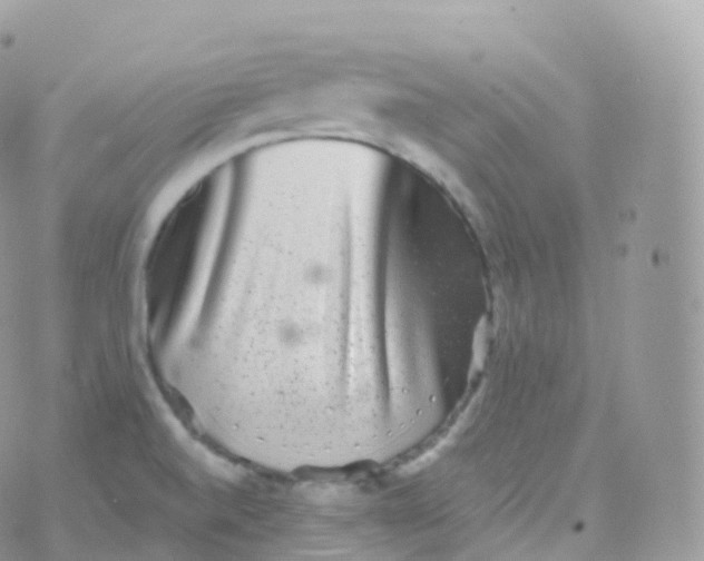 X0000070401520200606301958