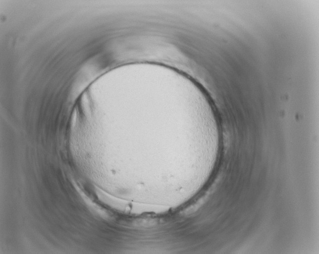 X0000070401521200606301958