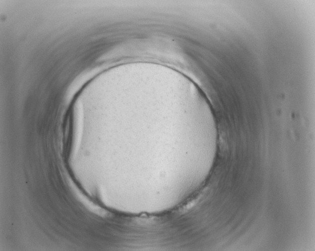 X0000070401523200606301958