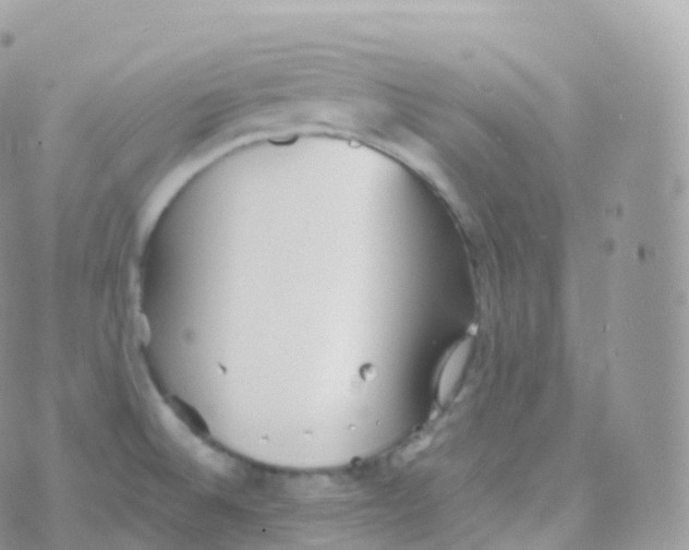 X0000070401524200606301958