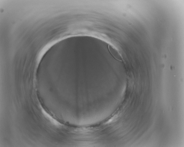 X0000070401527200606301958