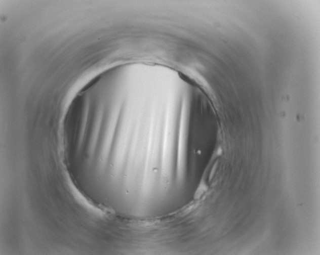 X0000070401528200606301958