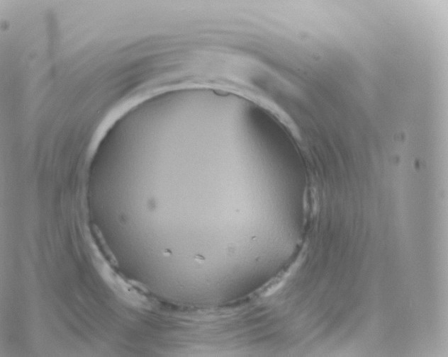 X0000070401530200606301958