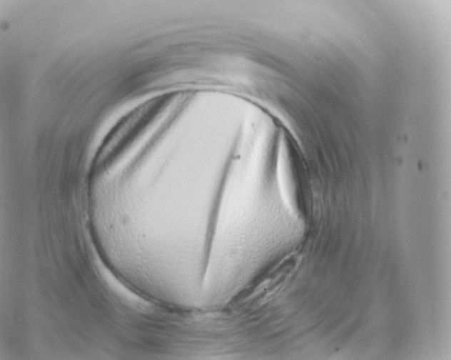 X0000070401531200606301958