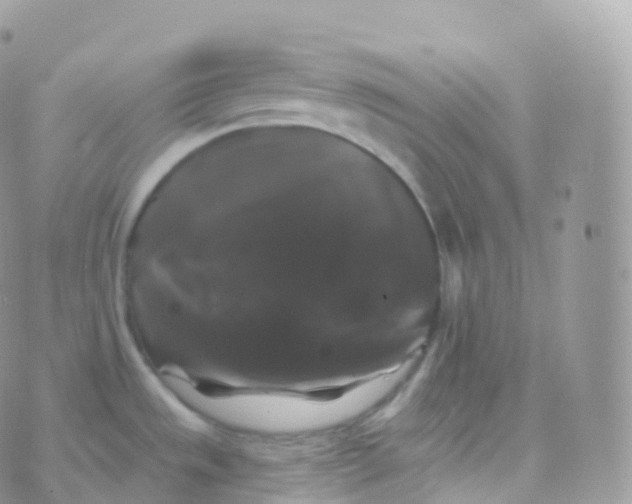 X0000070401533200606301958