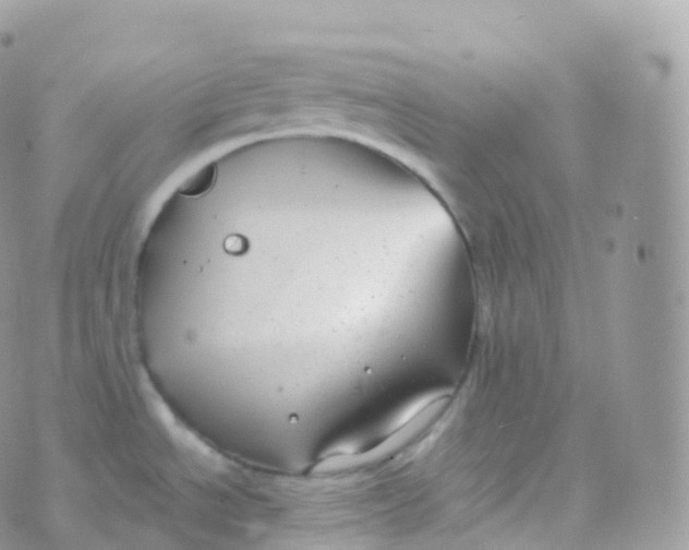 X0000070401534200606301958