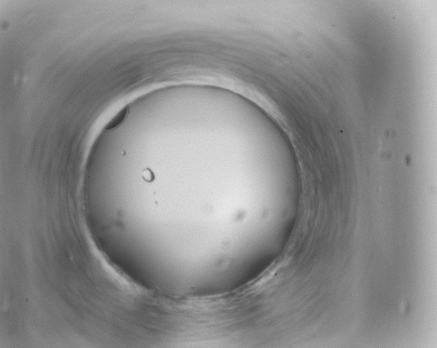 X0000070401536200606301959