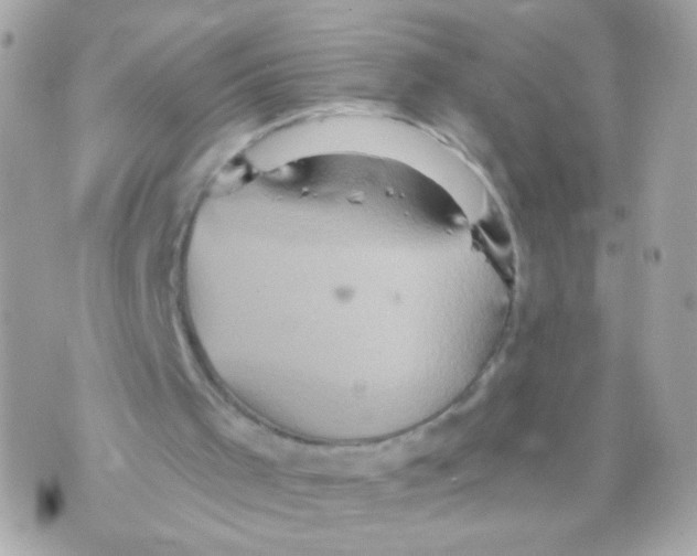 X0000070400001200607072256