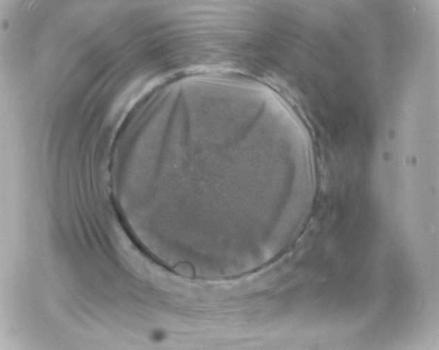 X0000070400002200607072256