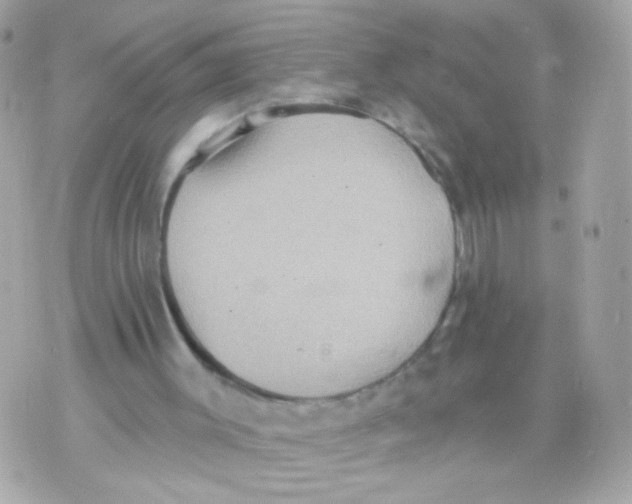 X0000070400003200607072256