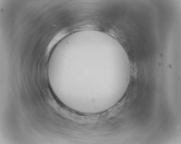 X0000070400004200607072256