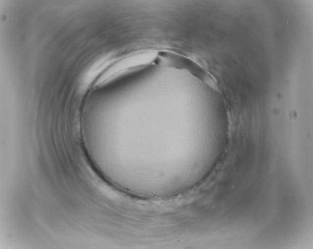 X0000070400005200607072256