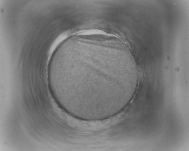 X0000070400006200607072255