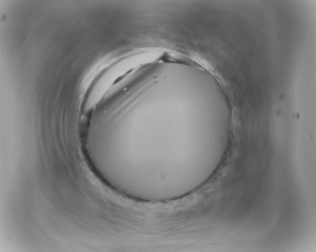 X0000070400007200607072255