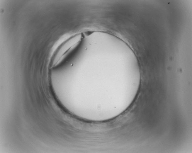 X0000070400008200607072255