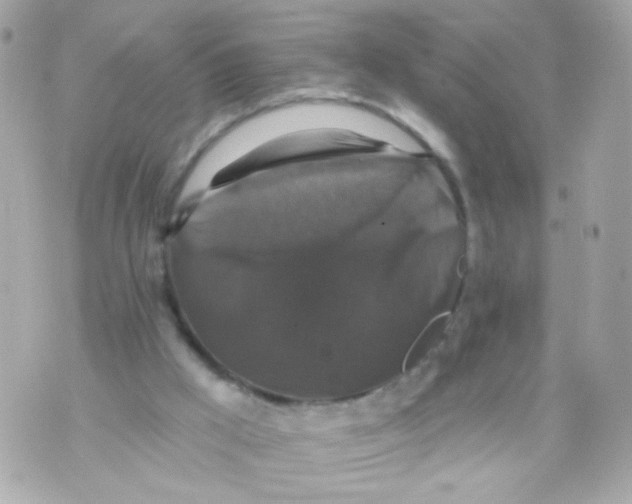 X0000070400009200607072255