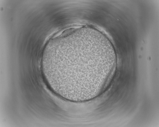 X0000070400010200607072255