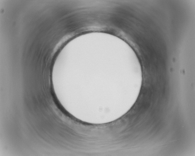 X0000070400011200607072255