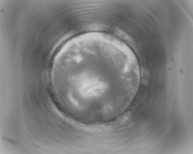 X0000070400012200607072255