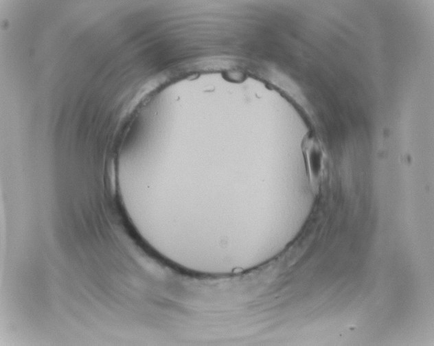 X0000070400013200607072255