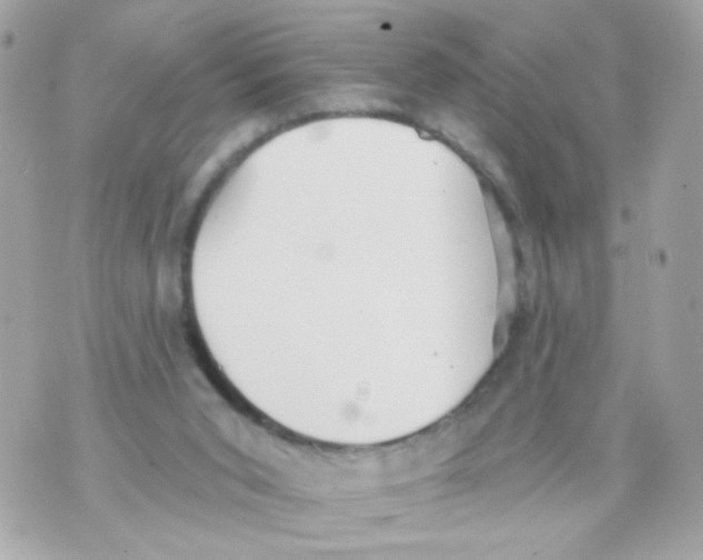 X0000070400015200607072255