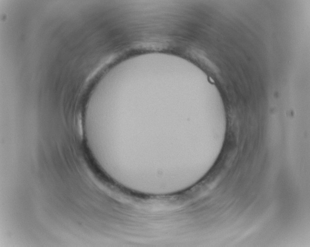 X0000070400020200607072255