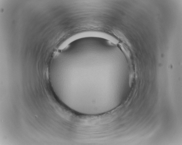 X0000070400021200607072255