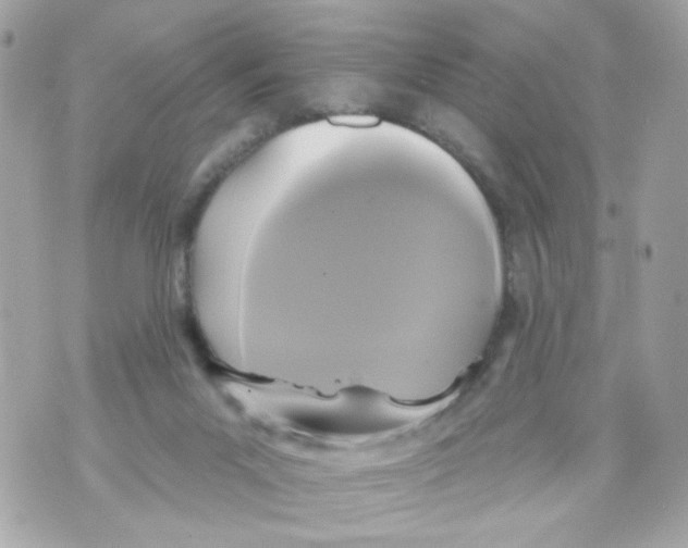 X0000070400023200607072255