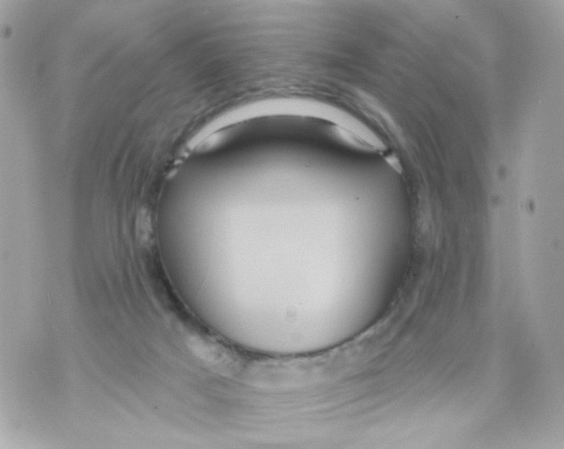 X0000070400025200607072255