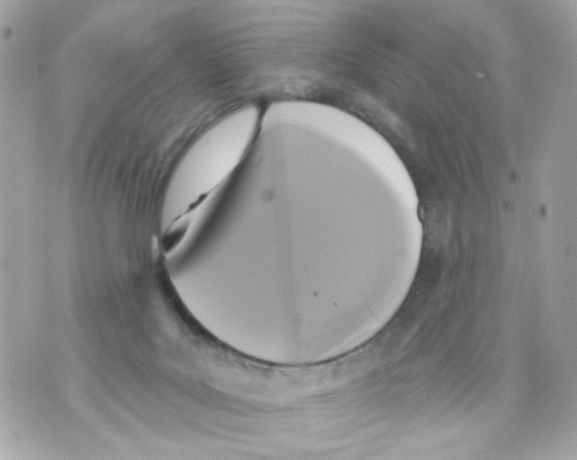 X0000070400027200607072255