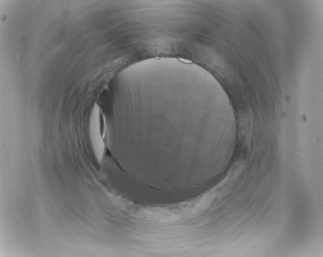 X0000070400029200607072255