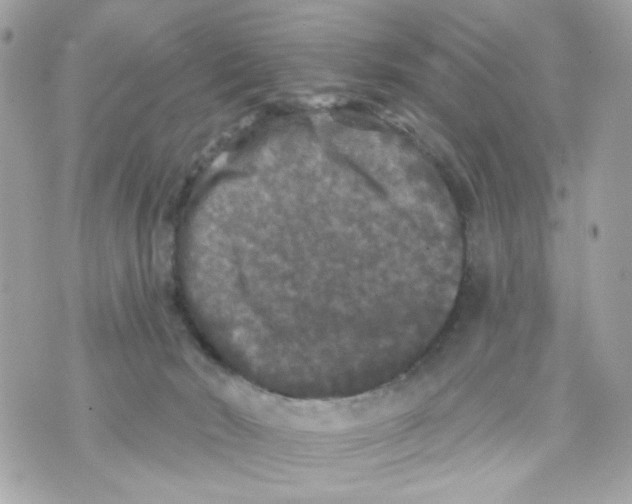 X0000070400030200607072255