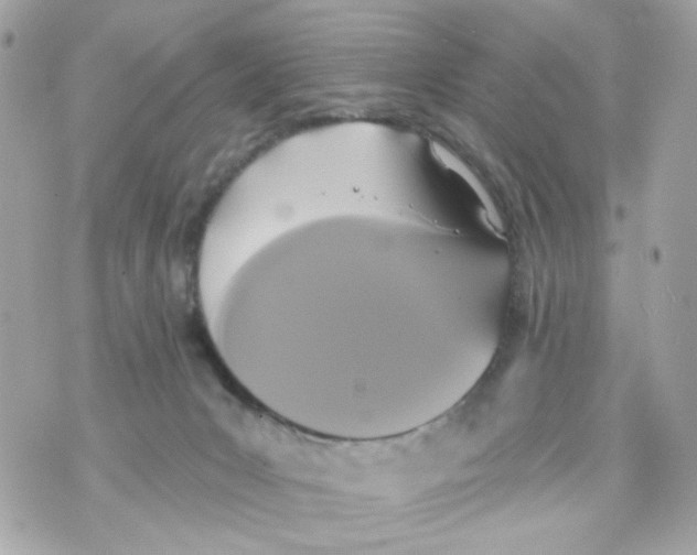 X0000070400031200607072255