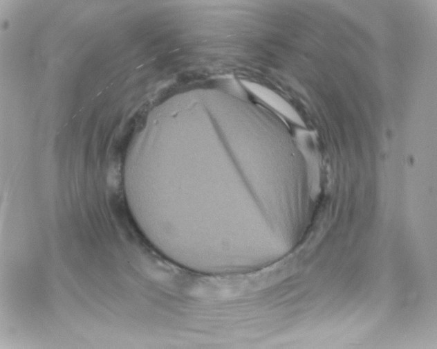 X0000070400033200607072255