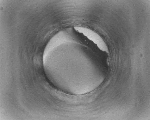 X0000070400035200607072255