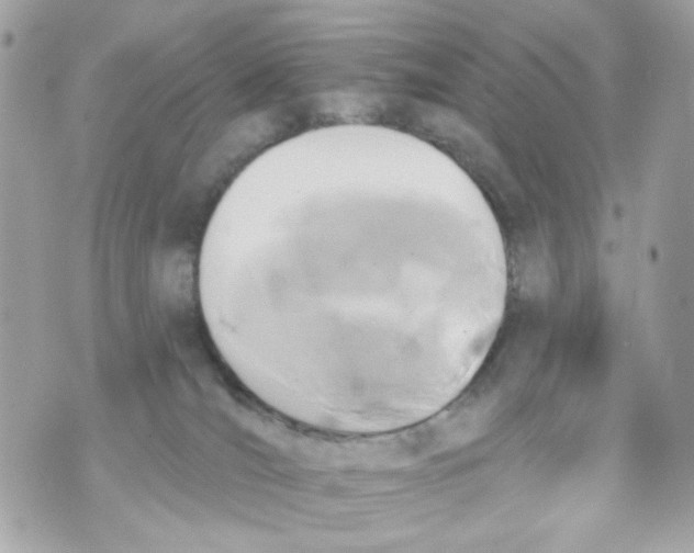 X0000070400036200607072255